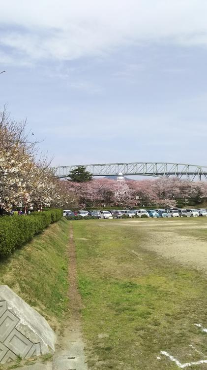 台場公園 - メイン写真: