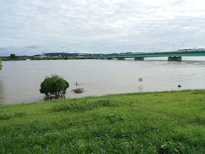 雄物川河川緑地 - メイン写真: