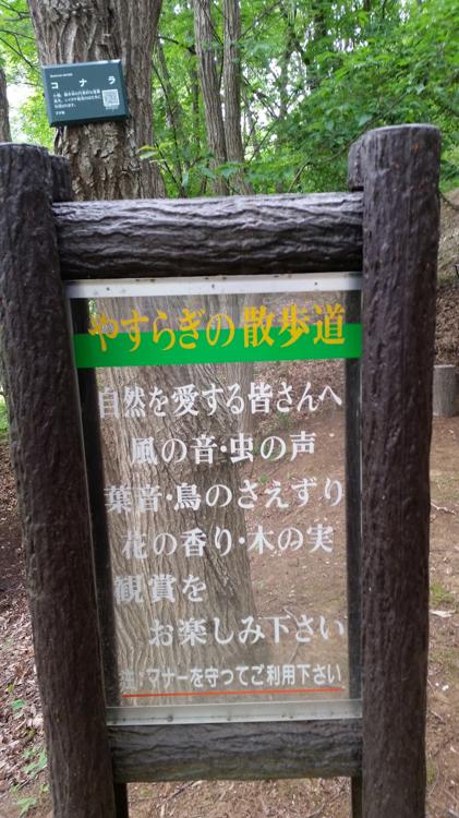 桃の里 憩いの森公園 - メイン写真: