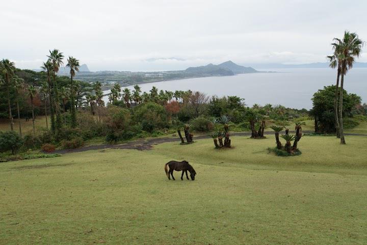 開聞山麓自然公園ゲート