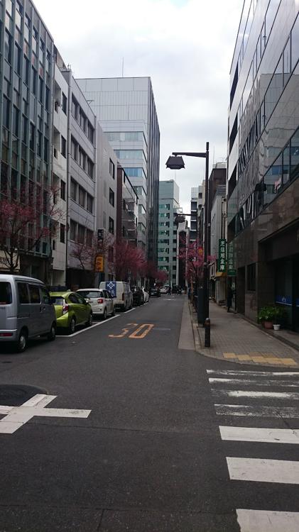 京佃煮・京菓子 永楽屋（東京店） - メイン写真: