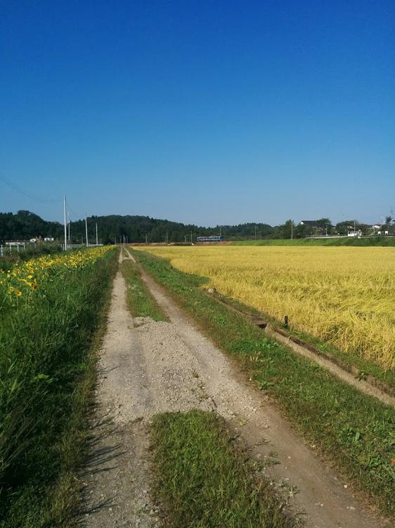 Kita Marumori Station (北丸森駅) - メイン写真: