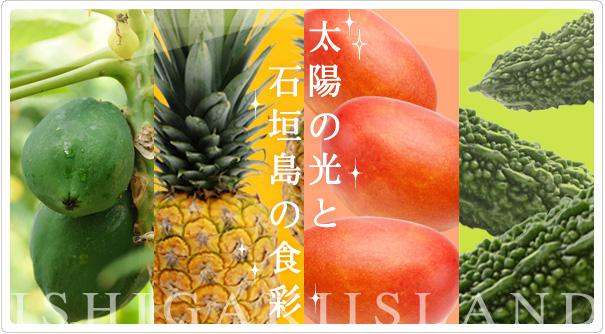石垣島の果物・野菜専門店「フルーツショップ サン石垣」 - メイン写真: