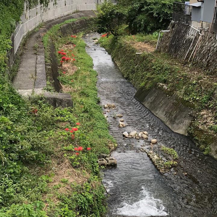 大津市大宮川観光駐車場 - メイン写真: