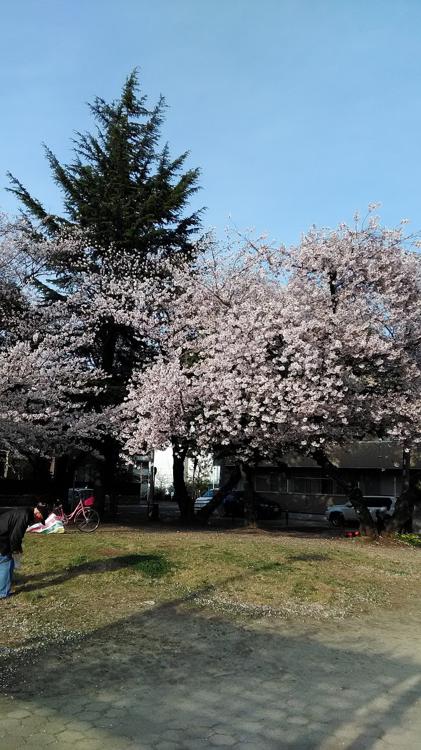 鴨付公園 - メイン写真: