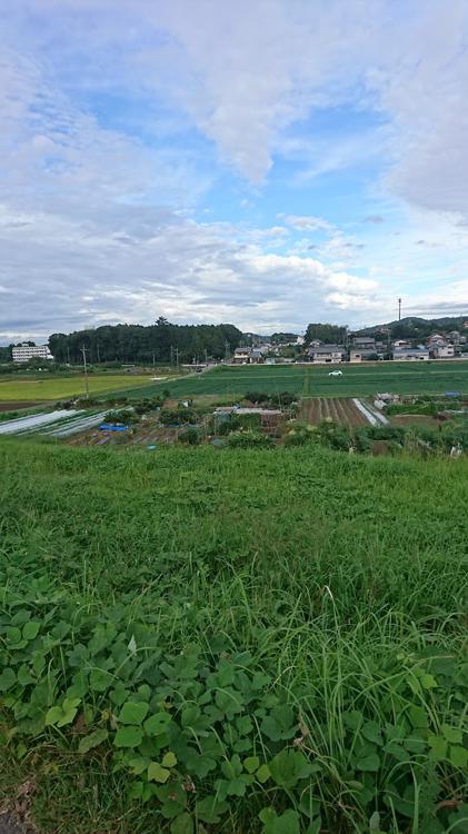 第１３号仁木河川緑地 - メイン写真: