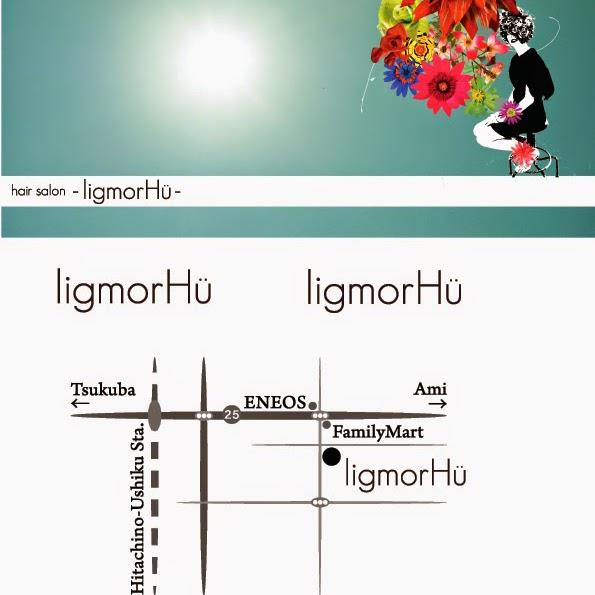 ｌｉｇｍｏｒＨｕ　【リグモフ】 - メイン写真: