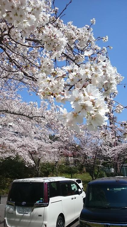 前平公園野球場 - メイン写真: