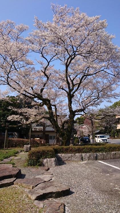 岐阜城駐車場 - メイン写真: