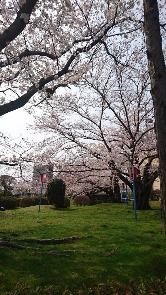 有原中央公園 - メイン写真: