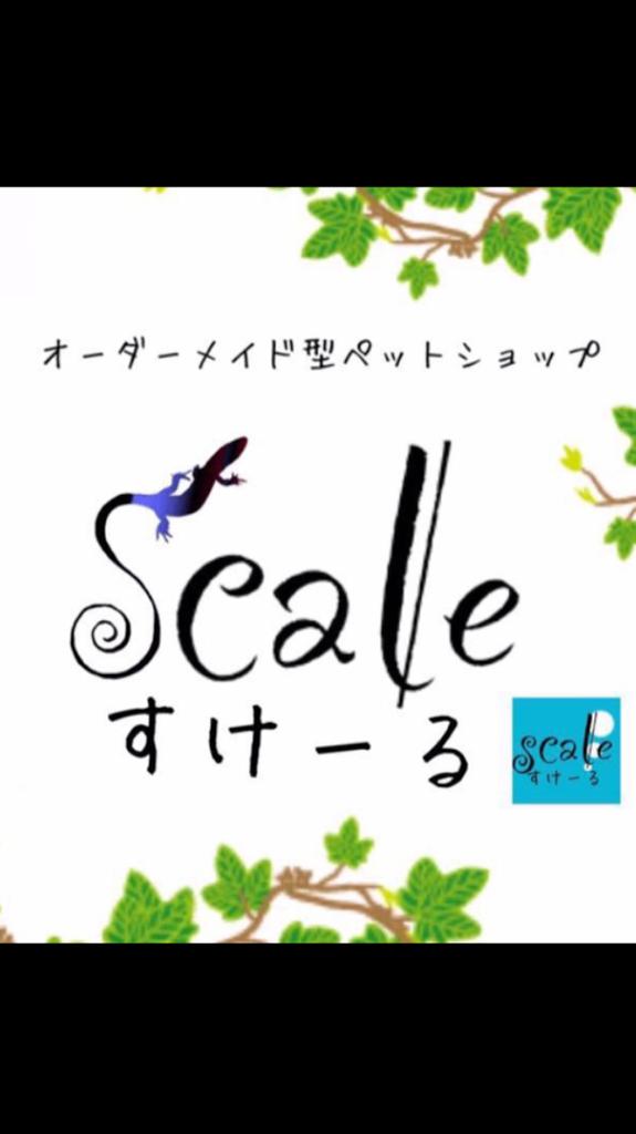 ペットショップscale - メイン写真: