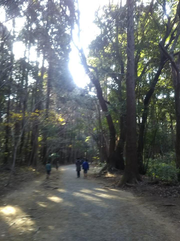 宮崎県総合博物館専用駐車場 - メイン写真: