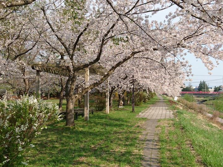 浪岡緑道 - メイン写真: