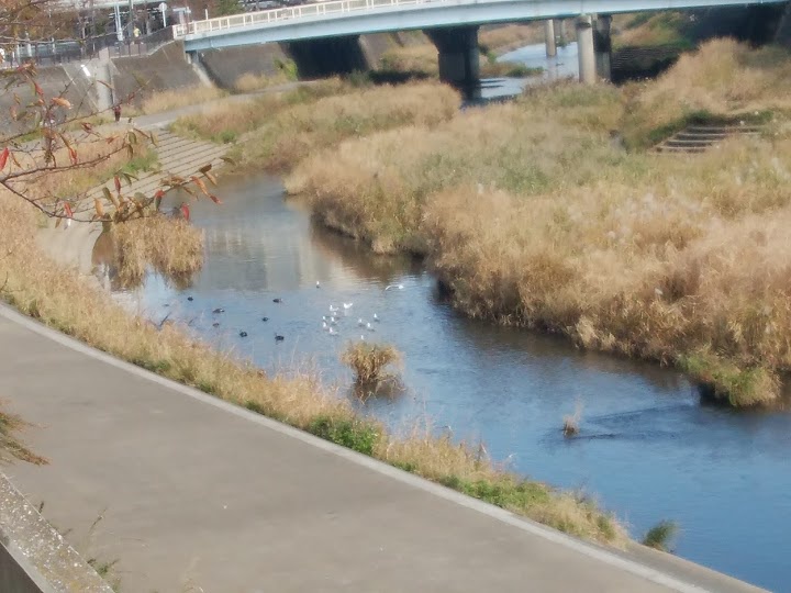 The 4 Best Public Facility in Totsukaku