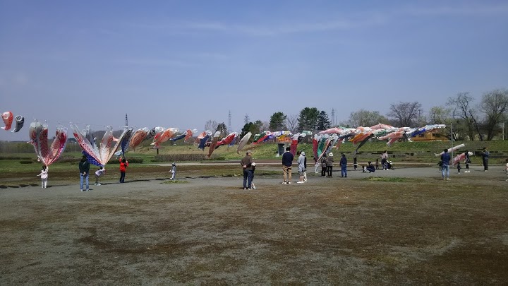 歴舟川河川公園 - メイン写真: