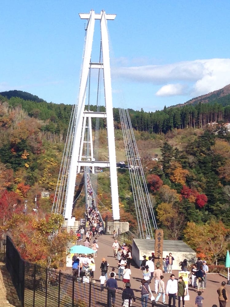 Kokonoe "Yume" Otsurihashi Bridge (九重“夢”大吊橋) - メイン写真: