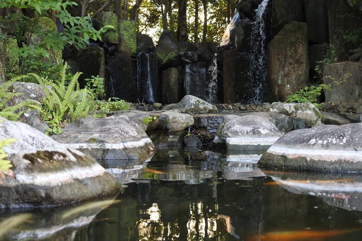 宮崎県総合運動公園軟式野球場 - メイン写真: