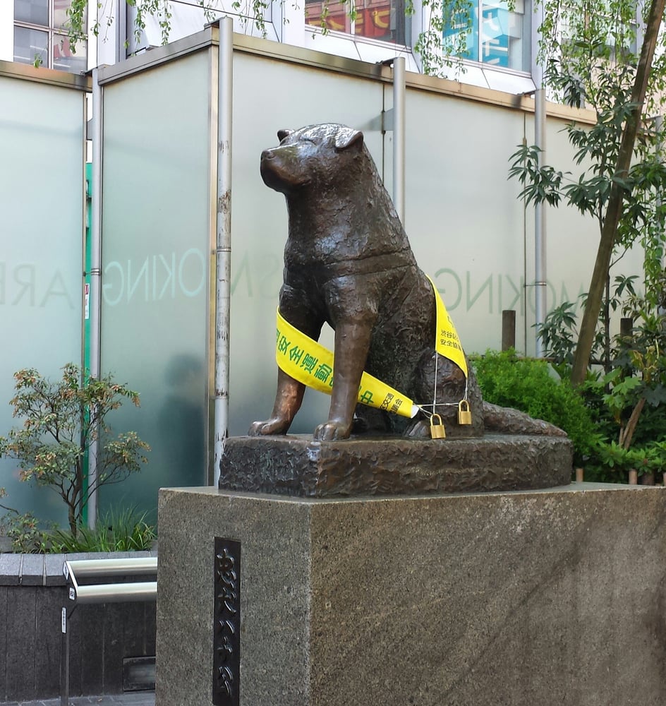 Hachiko Statue (忠犬ハチ公) - メイン写真: