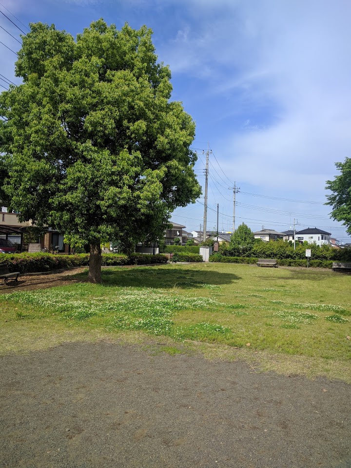 はこのもり東公園 - メイン写真: