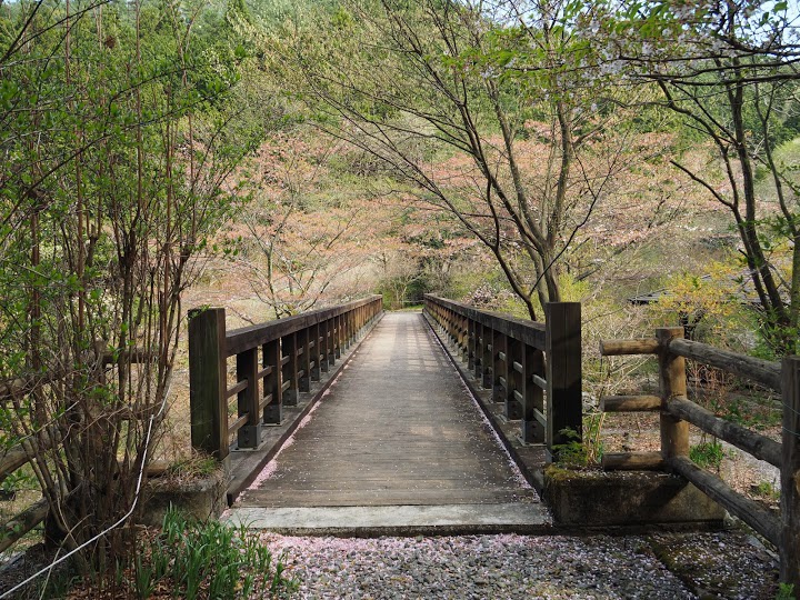 小平湿性植物園 - メイン写真: