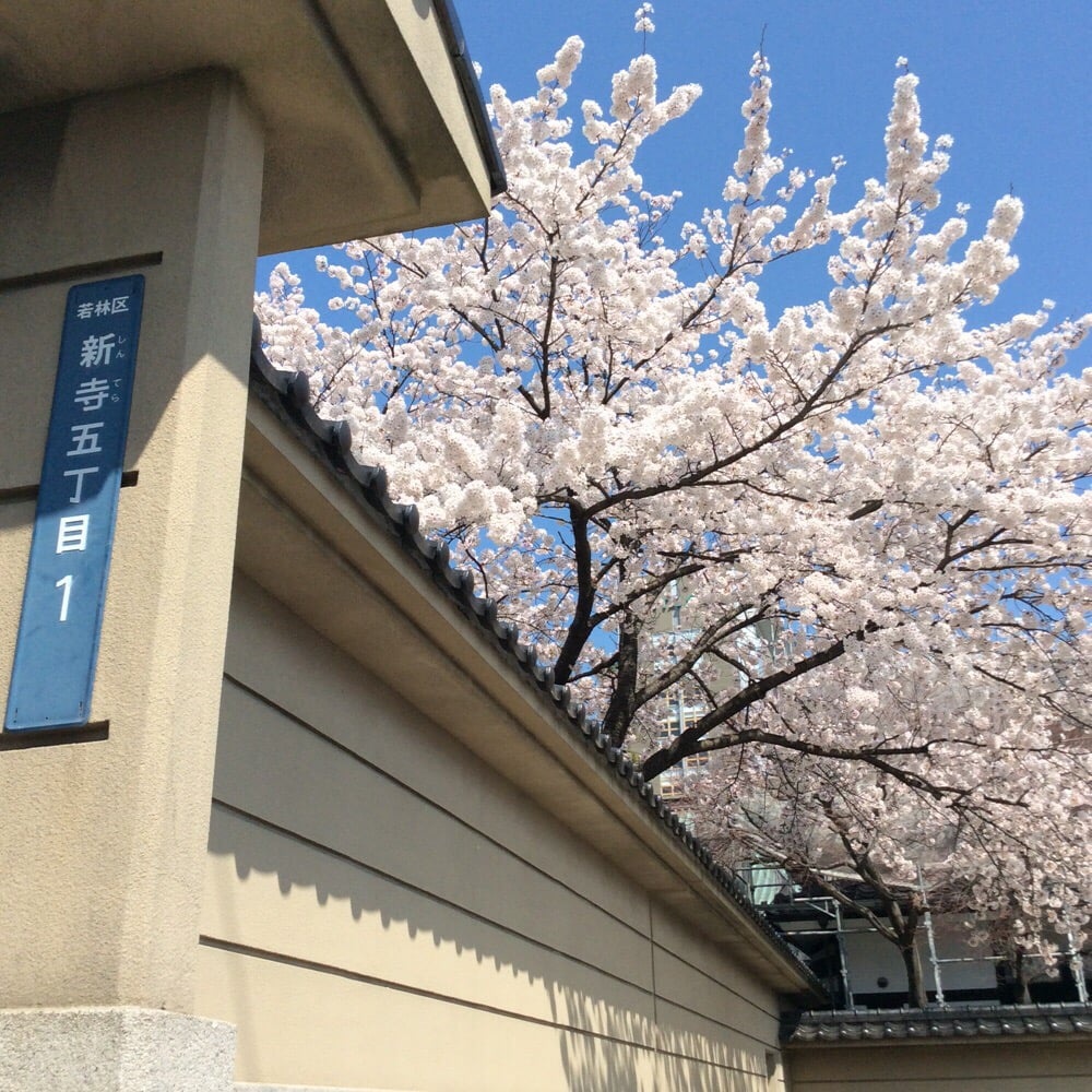 天総山 林香院 - メイン写真: