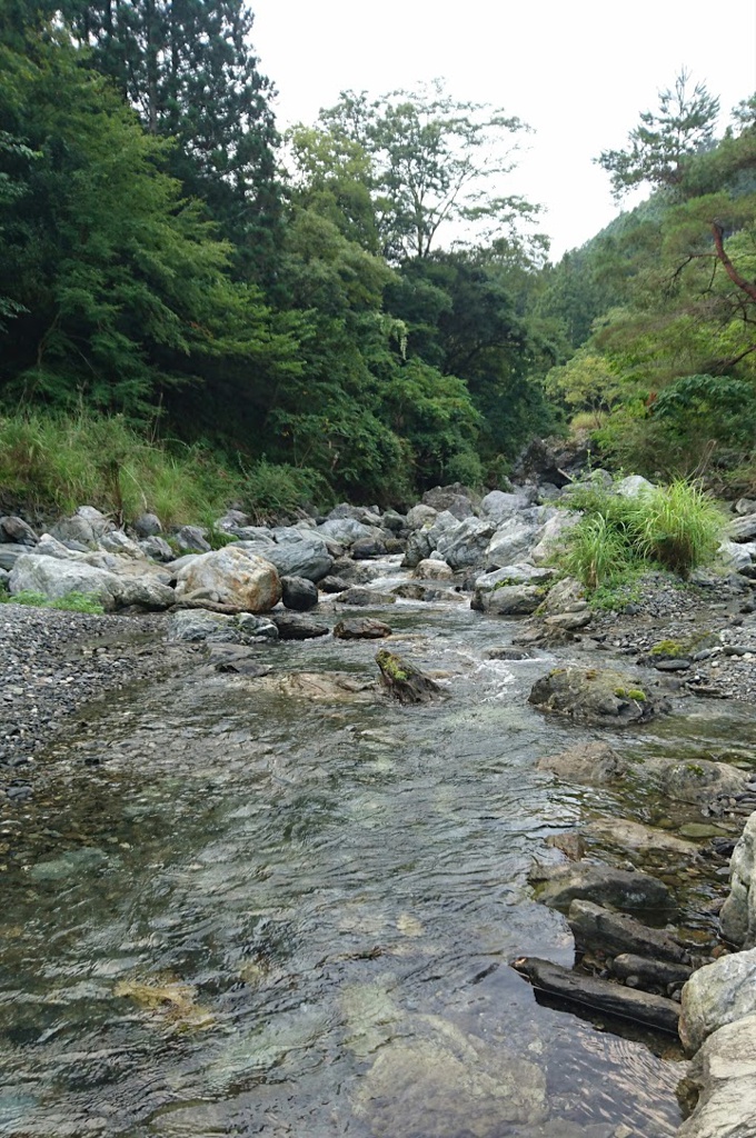 せせらぎの里 - メイン写真: