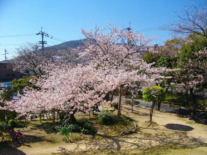 田宮公園 - メイン写真: