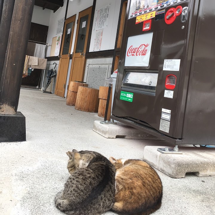 小野川温泉 共同浴場 滝の湯 - メイン写真: