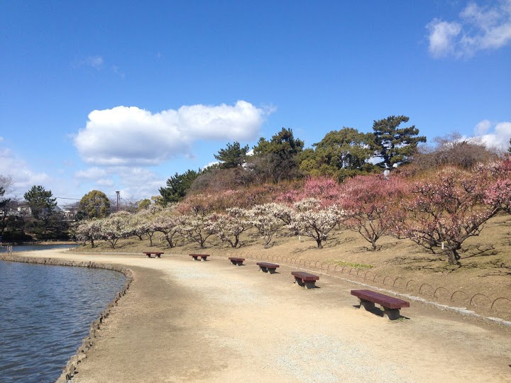 伊丹市 緑ヶ丘公園