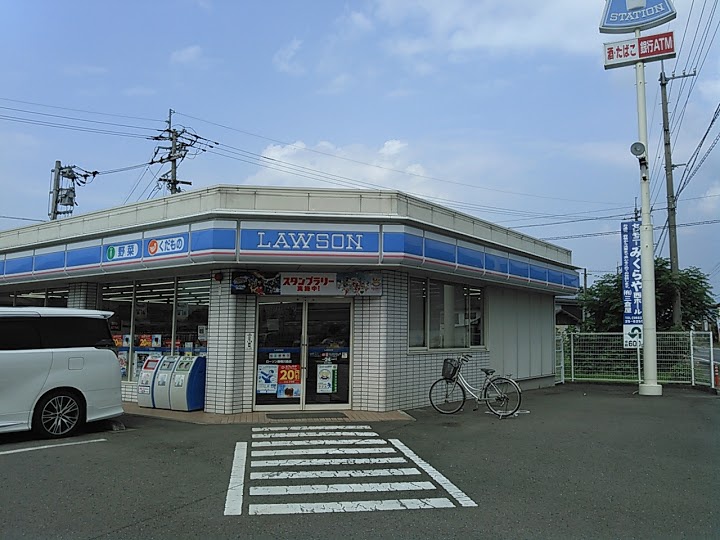 Lawson (ローソン 麻植川島店) - メイン写真: