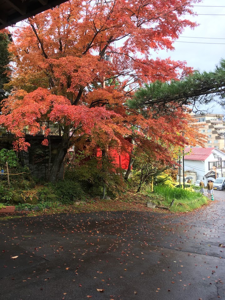 草津温泉・桐しまや旅館 - メイン写真: