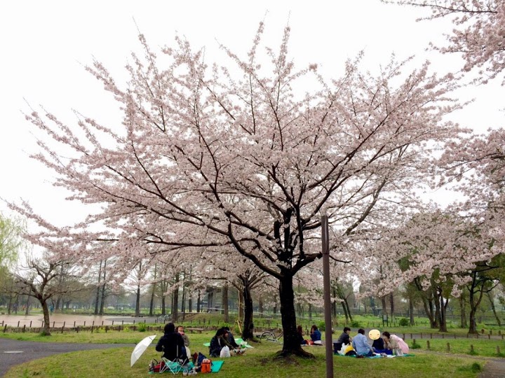 水 元 公園 駐 車場