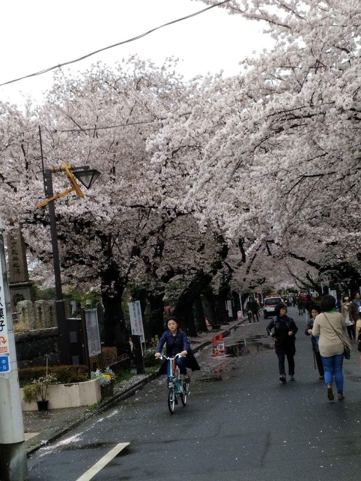 エイブル 西日暮里店 - メイン写真: