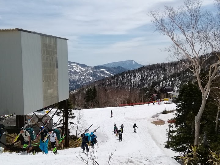 杉山スキー&スノースポーツスクール - メイン写真: