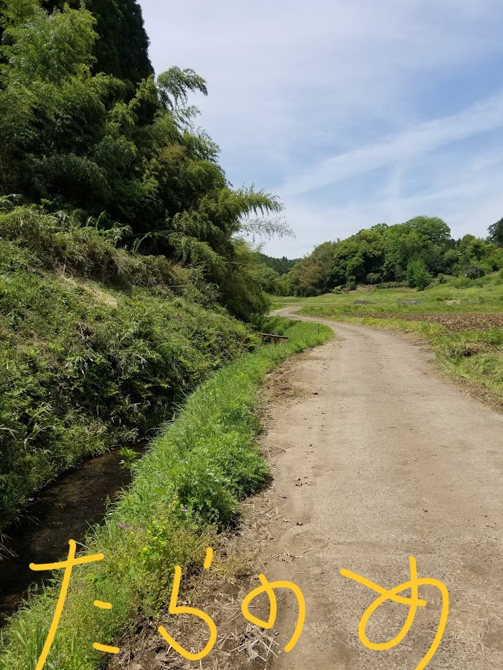 峠の駅三宝 - メイン写真: