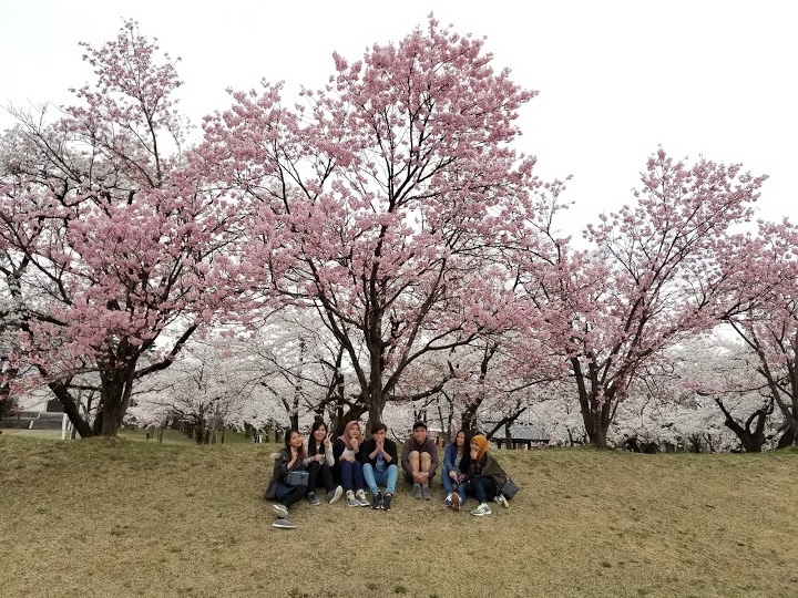 五泉市村松陸上競技場 - メイン写真: