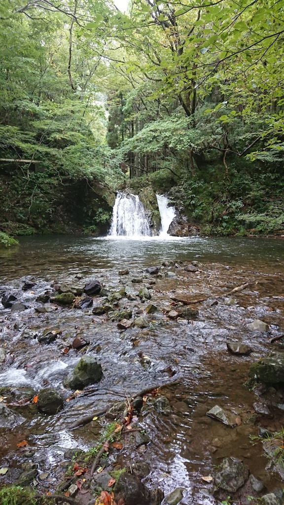 新庄村 - メイン写真: