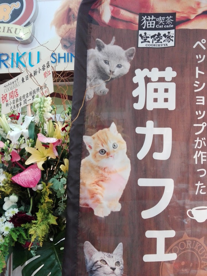 猫カフェ 猫喫茶 空陸家 新小岩店