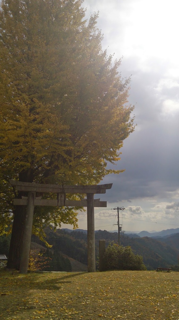 御勝八幡宮 - メイン写真: