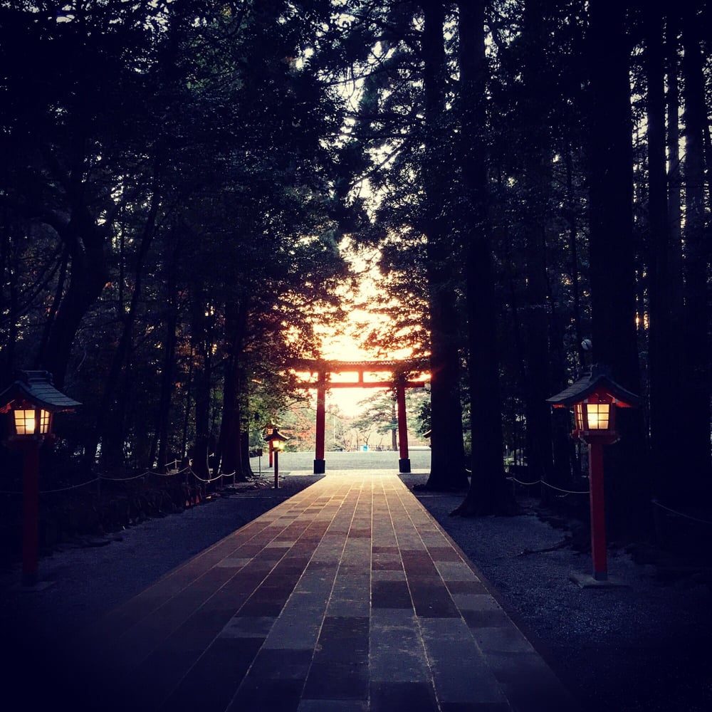 Kirishima Jingu Shrine (霧島神宮) - メイン写真: