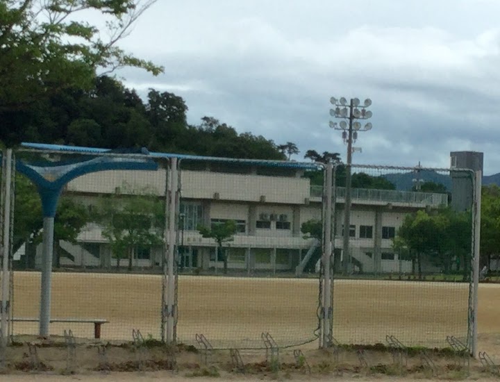 敦賀市役所　総合運動公園 - メイン写真: