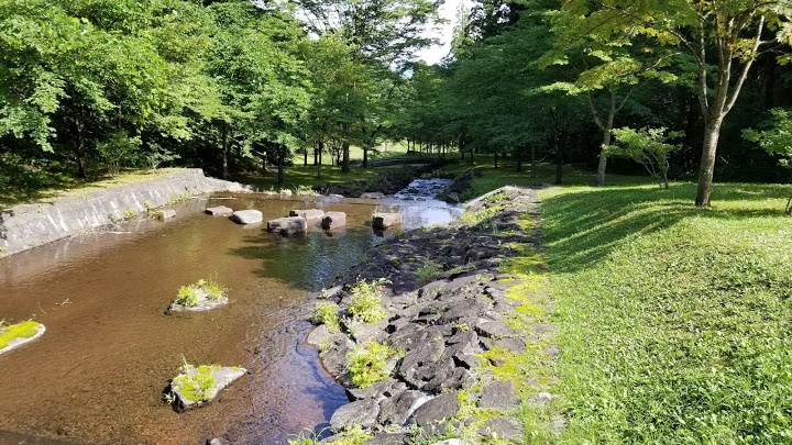 水源池公園 - メイン写真: