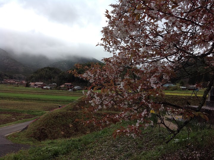 山口県立青嶺高等学校 - メイン写真: