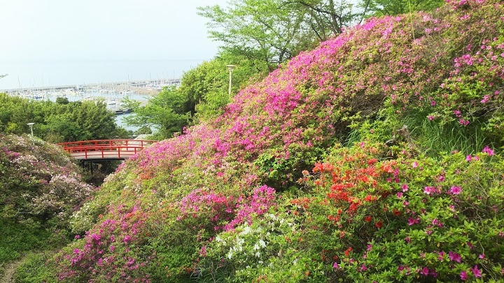 淡輪遊園