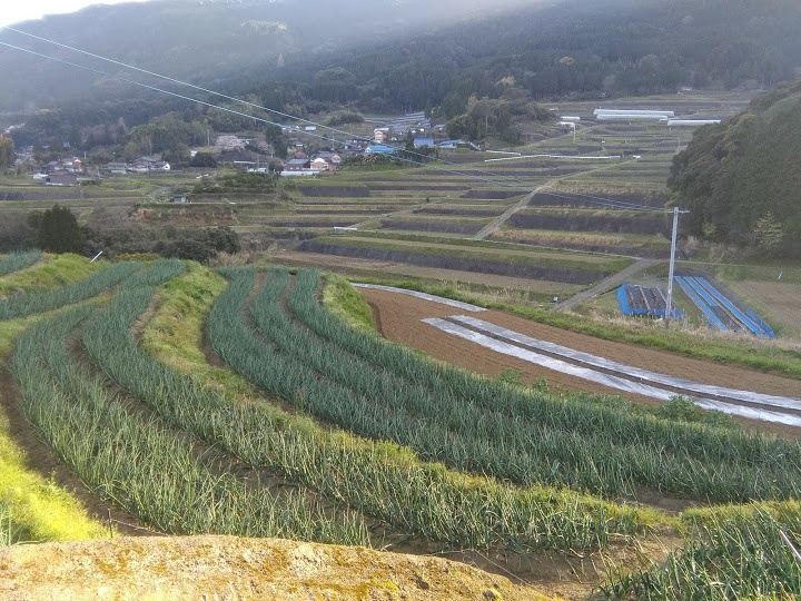 福地石油伊万里西店 - メイン写真: