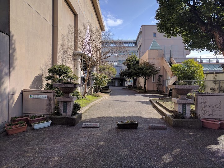 松江市立中央小学校 - メイン写真: