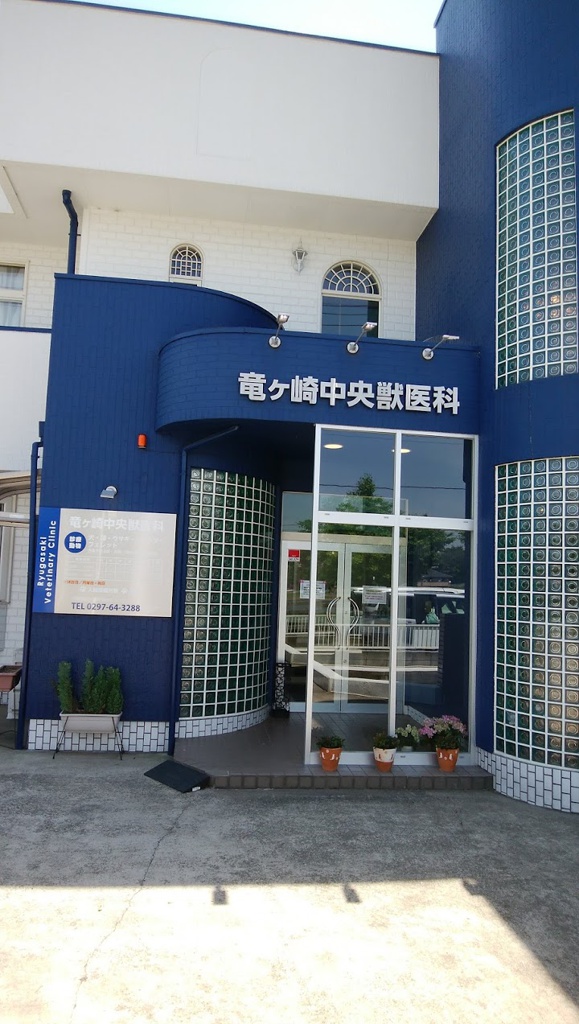 The 3 Best Hospital near ryugasaki Station