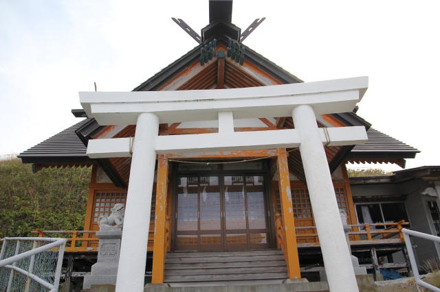 渡海神社 (TOKAI Shrine) - メイン写真: