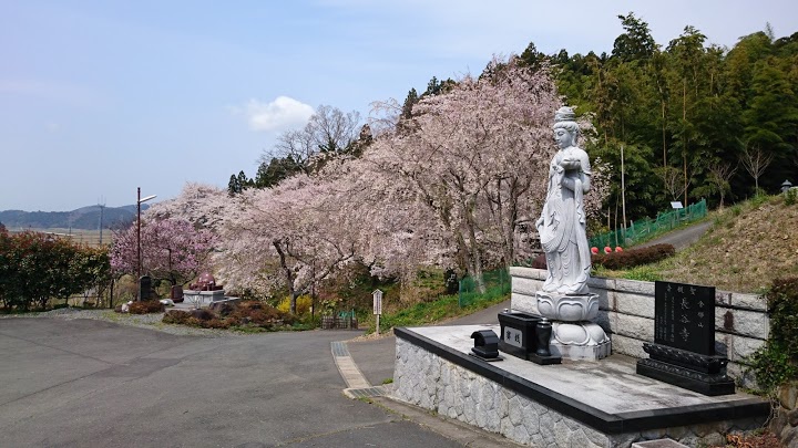 長谷寺 - メイン写真: