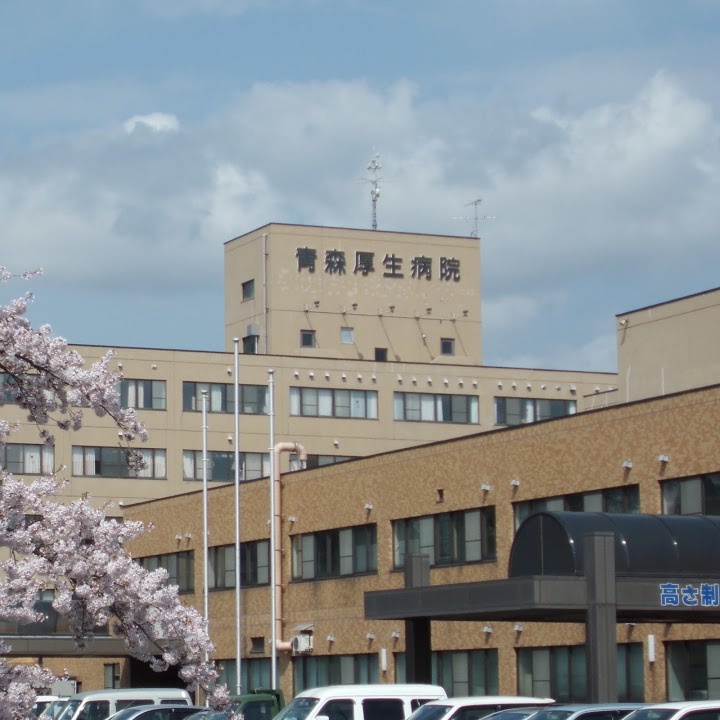 The 10 Best Hospital in Aomori